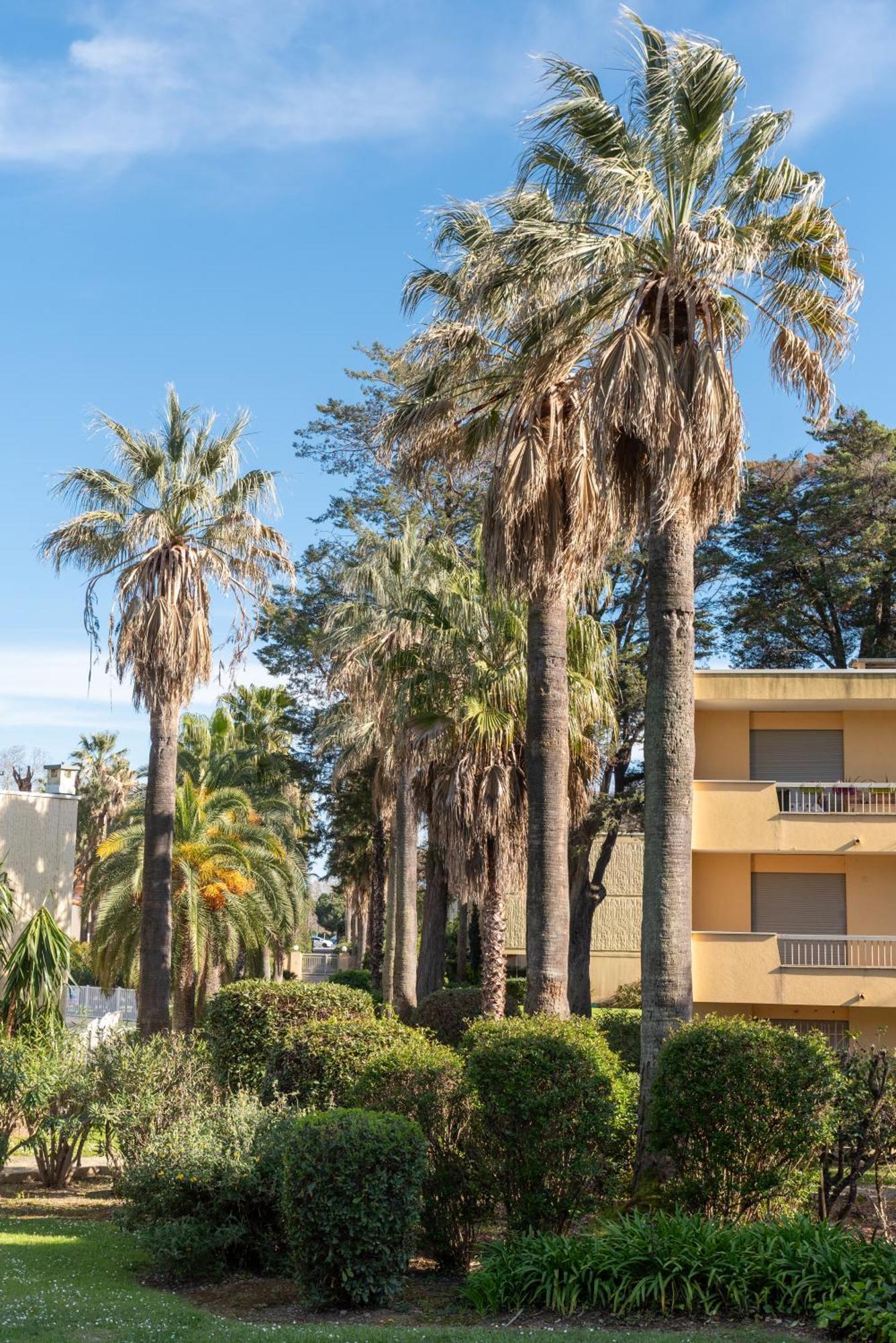 Les 15 Pins & La Mer -Your Green Getaway Near Sea & Beach Antibes Exterior foto